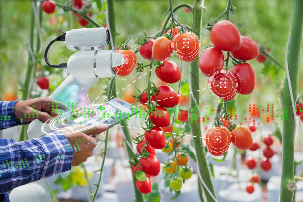 مزرعه هوشمند، گلخانه هوشمند، سیستم هوشمند، smart farming، smart farm